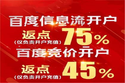 百度竞价代运营公司成功案例分析